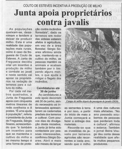 BV-1.ªabr.'21-p.3-Junta apoia proprietários contra javalis - Couto de Esteves incentiva à produção de milho.JPG