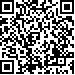Código QR13029