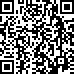 Código QR13163