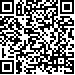 Código QR13313