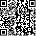 Código QR29300