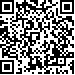 Código QR29536