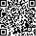 Código QR29999