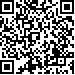 Código QR33133