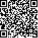 Código QR9919