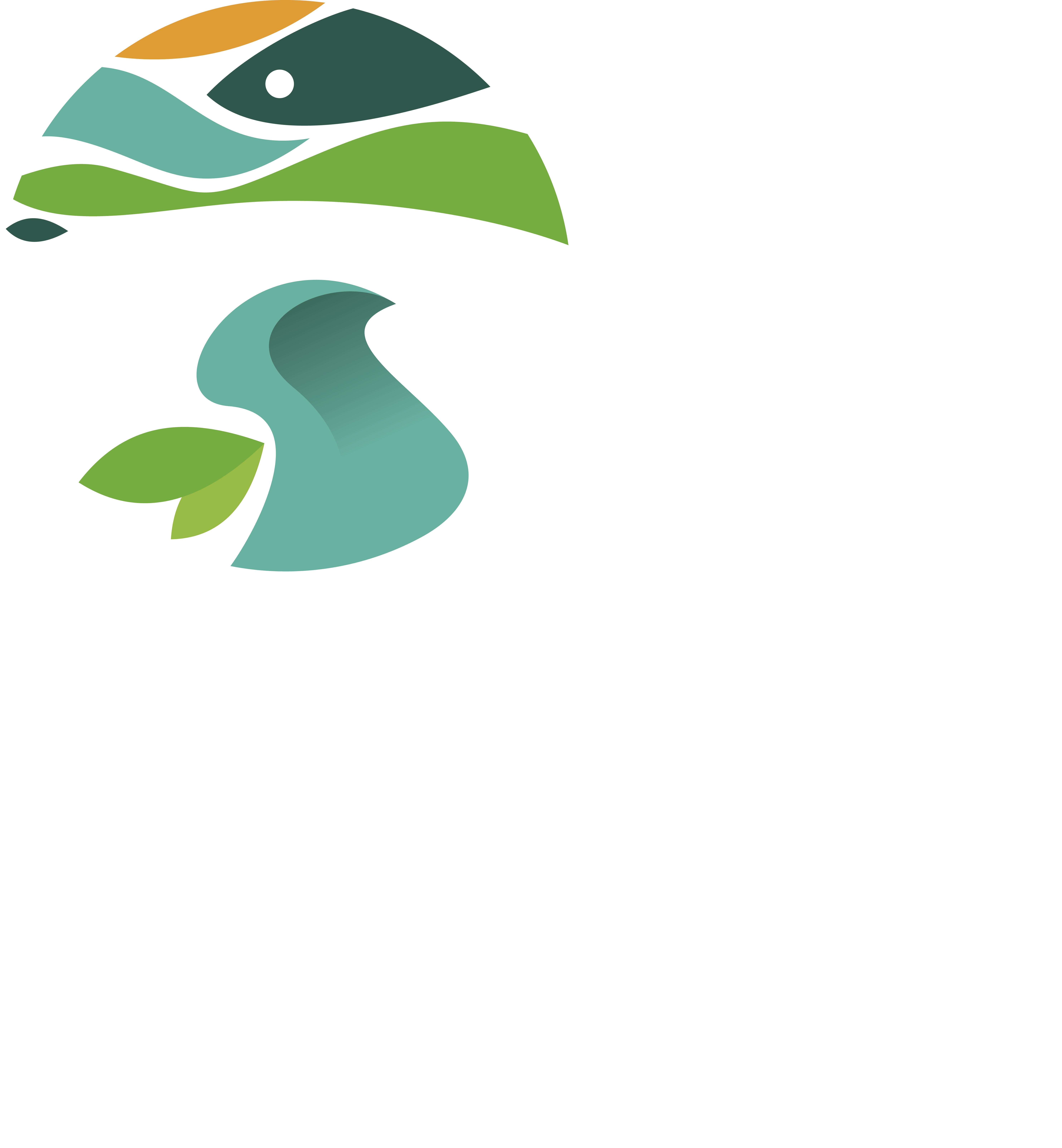 CM Sever do Vouga