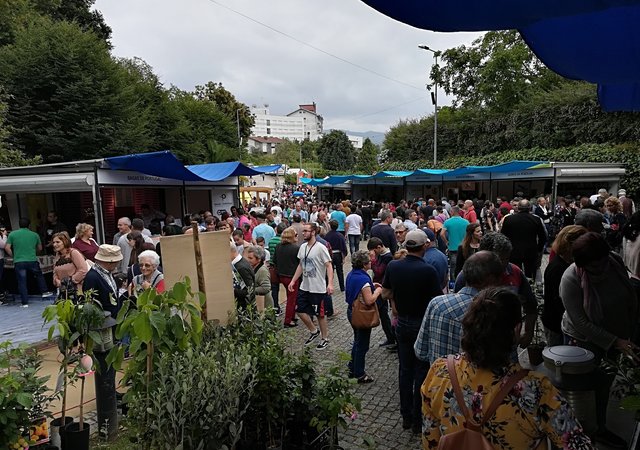 co_352019___feira_do_mirtilo__1_