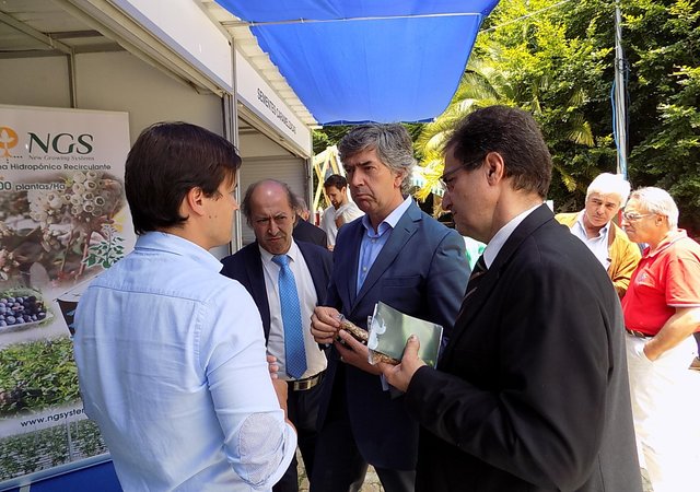 co_482019___feira_nacional_mirtilo__1_