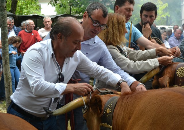 co_702019___incentivo_raca_arouquesa__1_