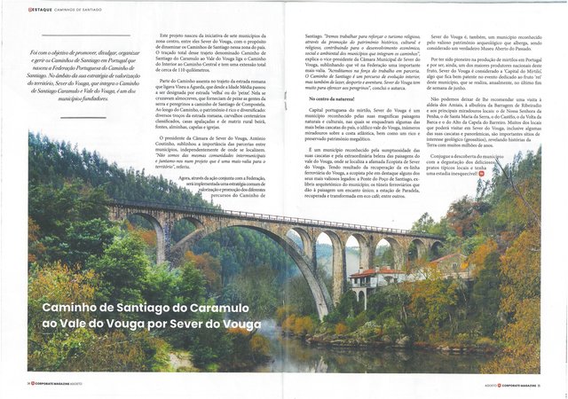 revista