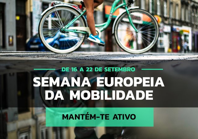 dia_sem_carros