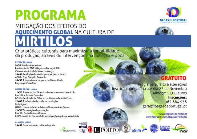 Seminario_Mirtilo_VougaPark_Bagas_Portugal__1_