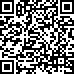 Código QR17538