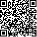 Código QR17541