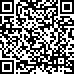Código QR2975