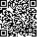 Código QR30133
