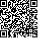 Código QR30919