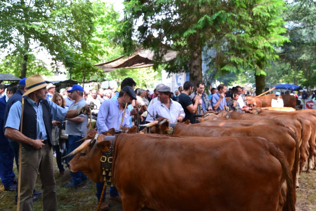 co_702019___incentivo_raca_arouquesa__3_
