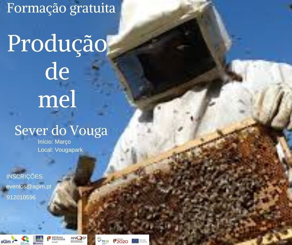 Formacao producao de mel 1 1024 2500
