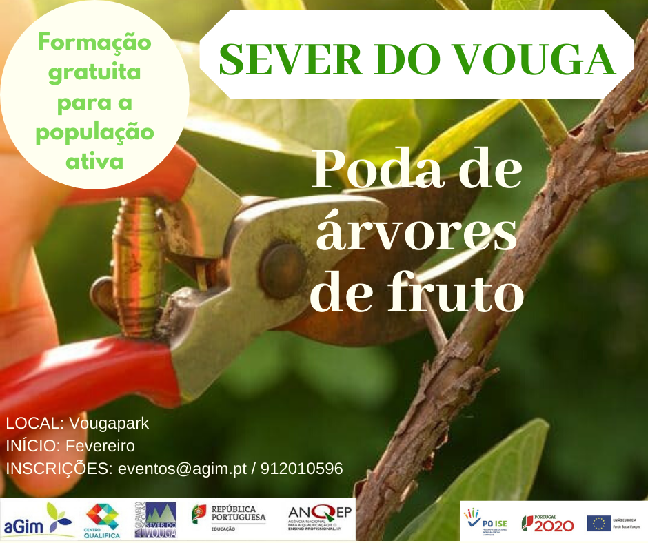 Formacao poda de arvores de fruto 1 1024 2500