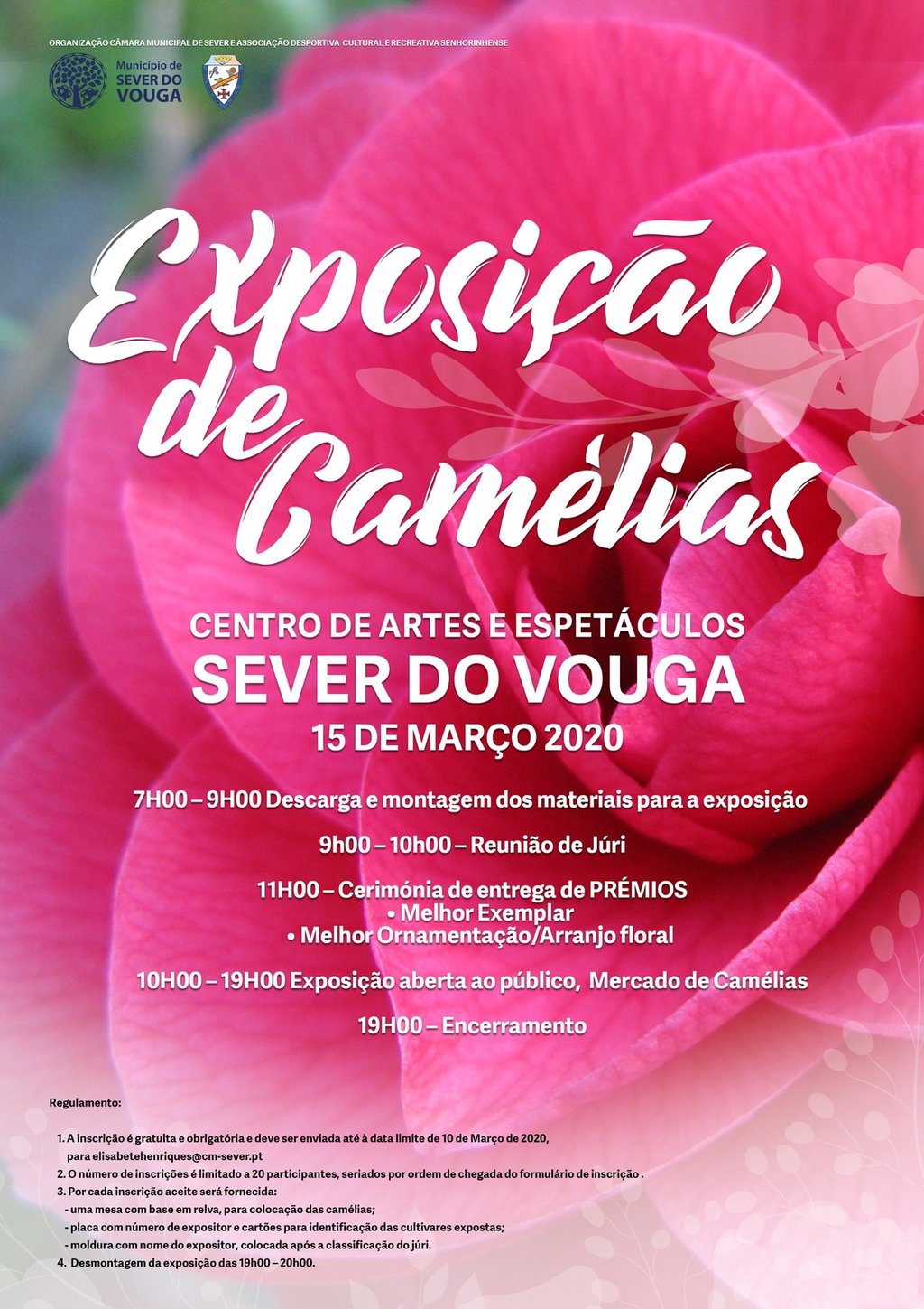 Dia 15 de marco exposicao de camelias cae 1 1024 2500