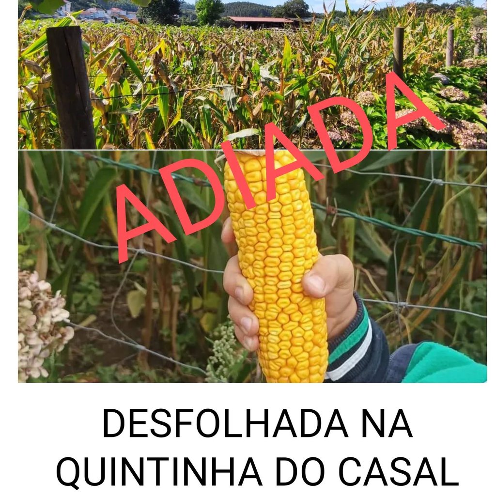 adiada