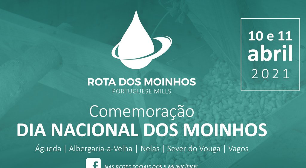 Logo 1 1 1024 2500