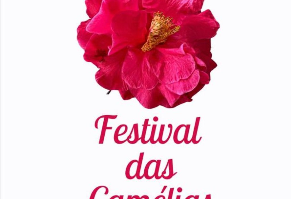 camelias50_n