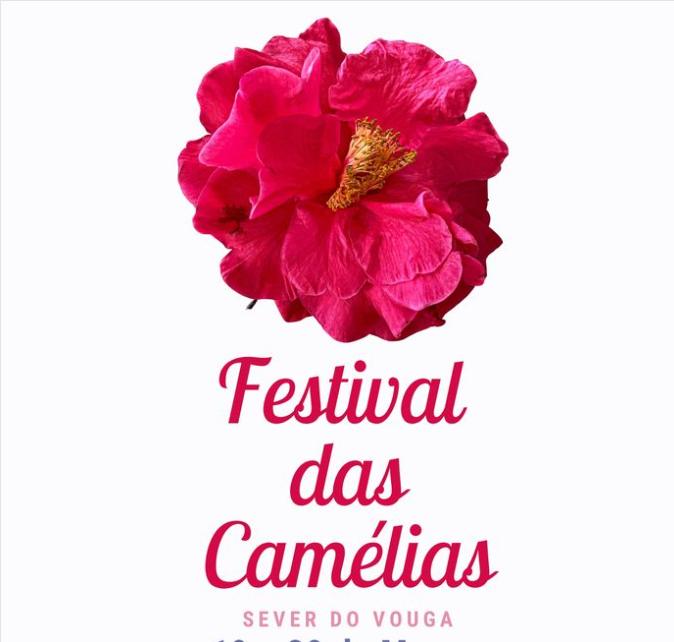 camelias50_n